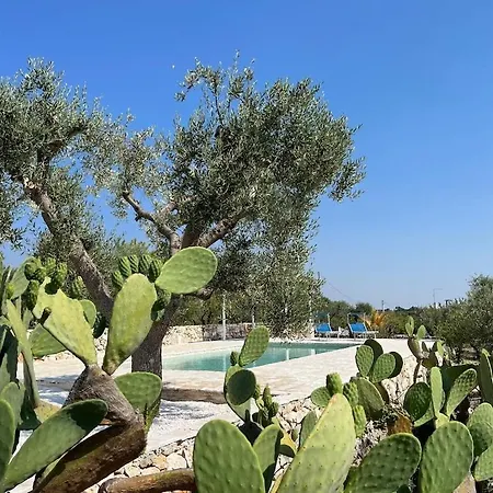 Holiday home Casa Giuliveto - Charmantes Mit Privatpool In Olivenhain