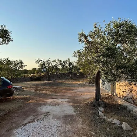 Holiday home Casa Giuliveto - Charmantes Mit Privatpool In Olivenhain