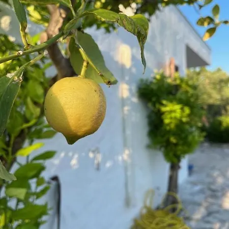 Casa Giuliveto - Charmantes Mit Privatpool In Olivenhain * Ostuni