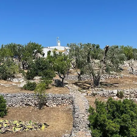 Casa Giuliveto - Charmantes Mit Privatpool In Olivenhain Holiday home *