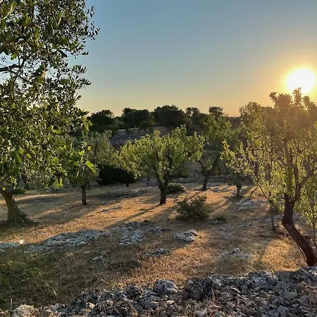 Holiday home Casa Giuliveto - Charmantes Mit Privatpool In Olivenhain Ostuni