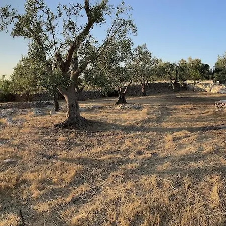 Holiday home Casa Giuliveto - Charmantes Mit Privatpool In Olivenhain