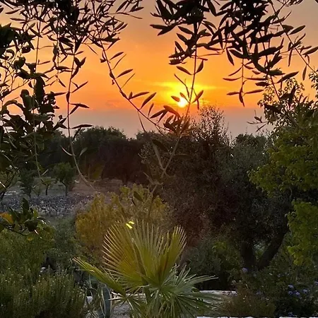 Casa Giuliveto - Charmantes Mit Privatpool In Olivenhain Holiday home Ostuni