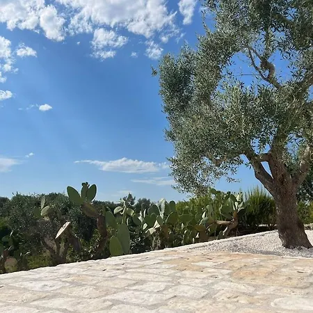 Holiday home Casa Giuliveto - Charmantes Mit Privatpool In Olivenhain *